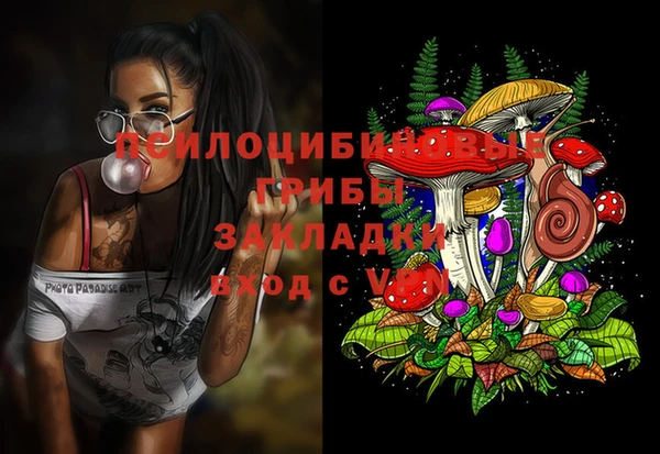 дурь Нея