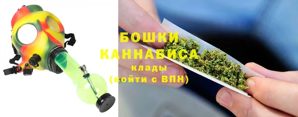 дурь Нея
