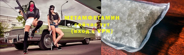 прущие грибы Надым