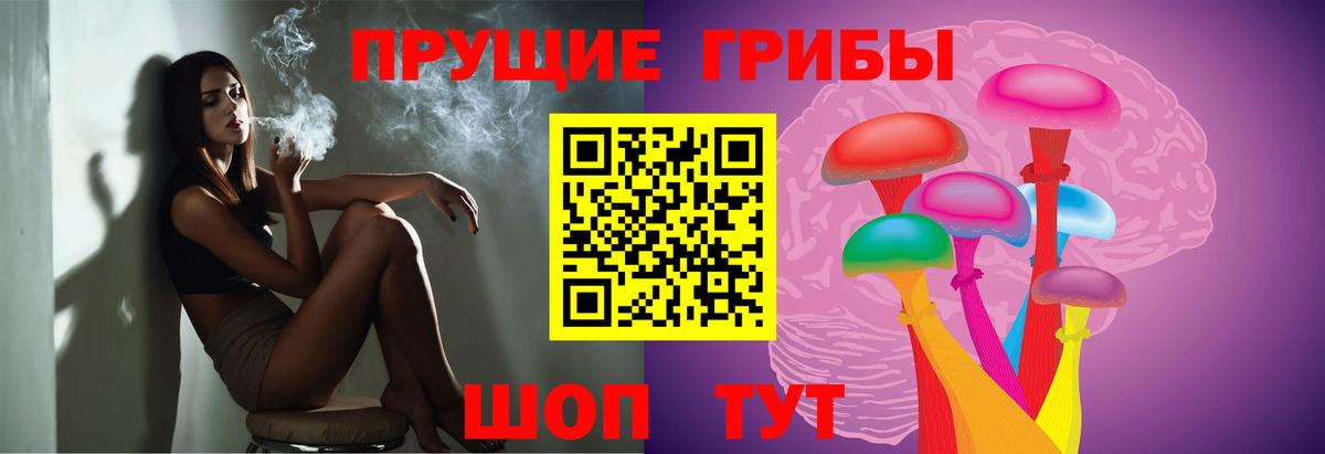 Кувандык  Галлюциногенные грибы Magic Shrooms  закладка  Вход с VPN 